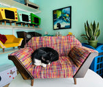 Sleek & Chic Sofa Rainbow Colour