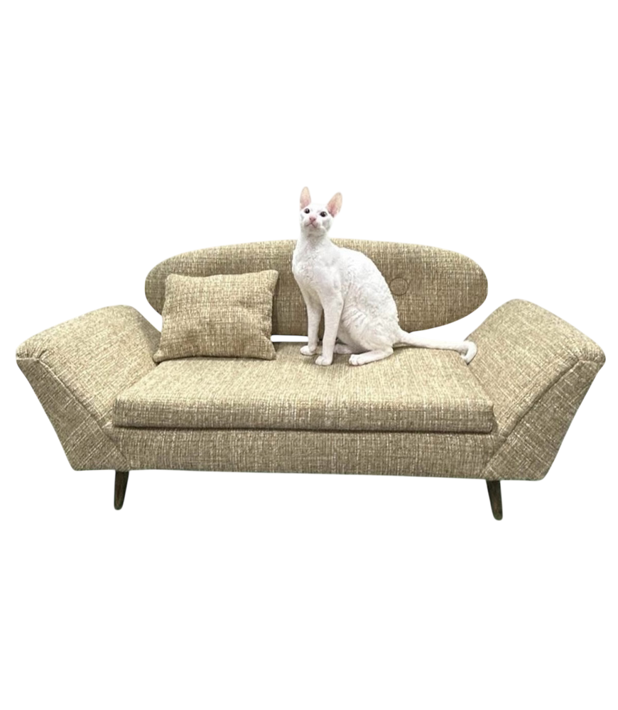 Gondola Cozy Paw Pet Bed