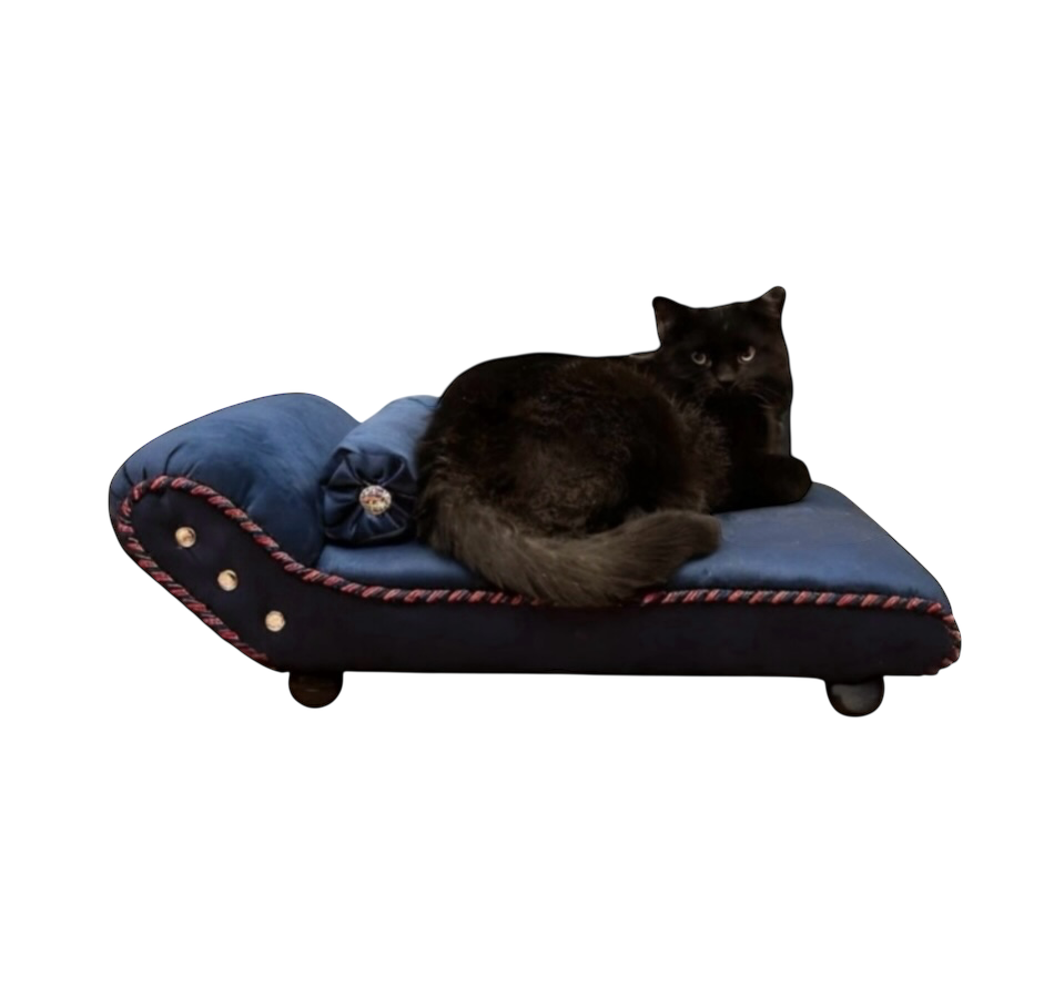Pet Sofa Snuggle Freud