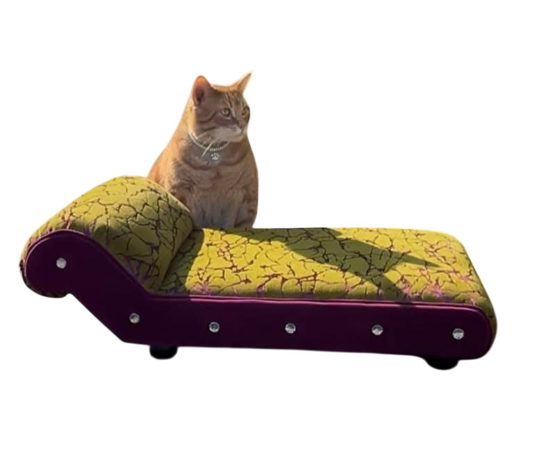 Canapé Snuggle Freud