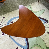 Table Boomerang