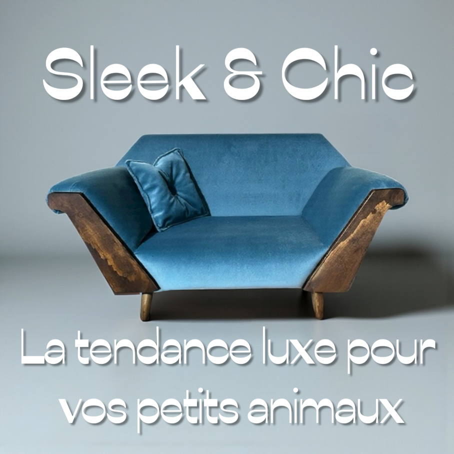 Sofa Chic & Sleek Couleur Gris