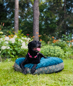 The Pawzilla. Large dog pillow