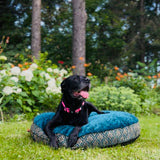The Pawzilla. Large dog pillow