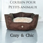 Coussin Patte Nuage