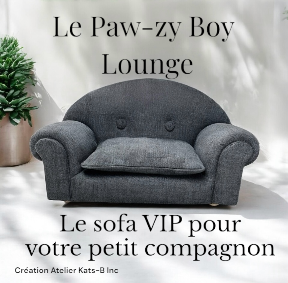 Paw-zy Boy Lounge