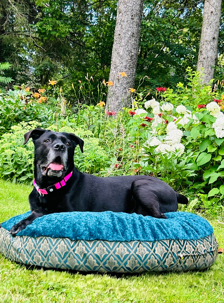 The Pawzilla. Large dog pillow