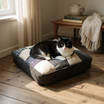 Tia’s Cushion