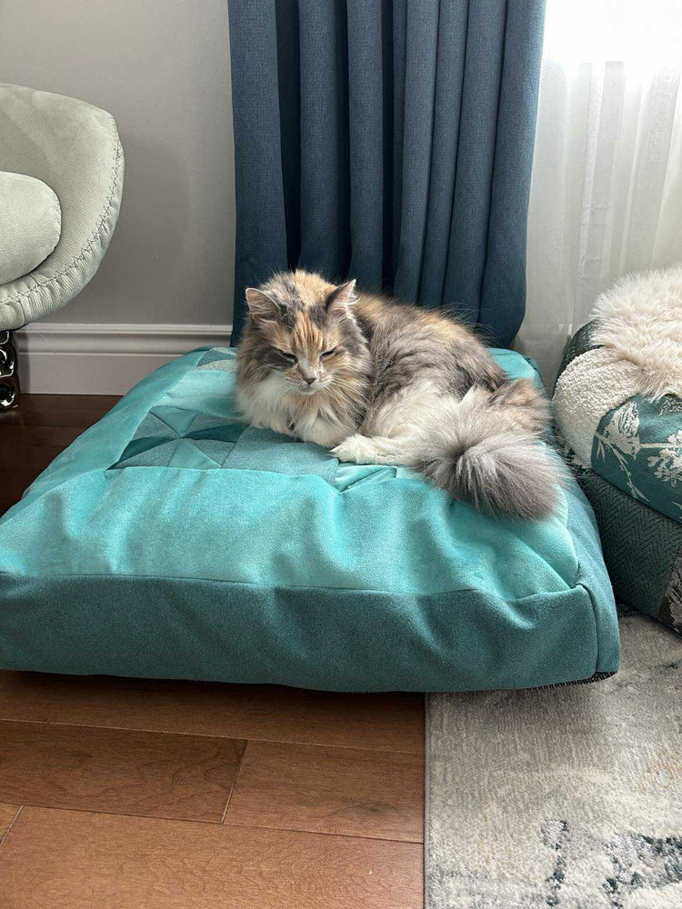 Tia’s Cushion