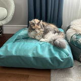 Tia’s Cushion