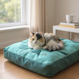 Tia’s Cushion