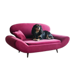 Gondole ComfyPaw