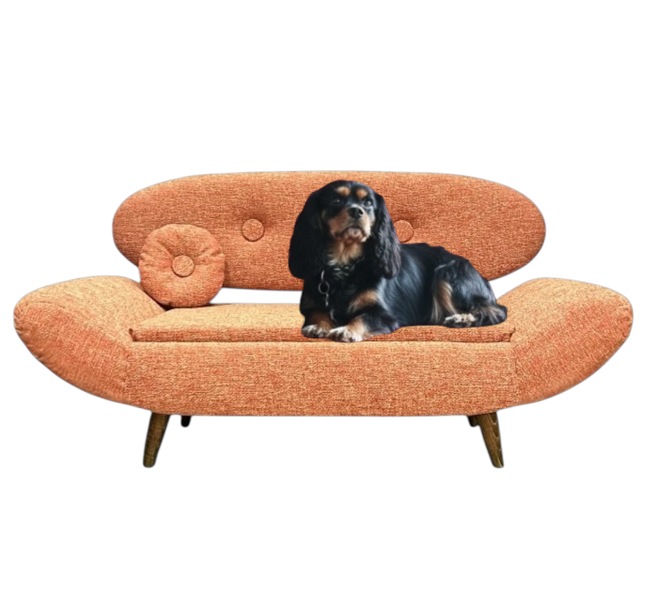 Gondole ComfyPaw
