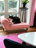 The Duchess Cat Fainting Couch.