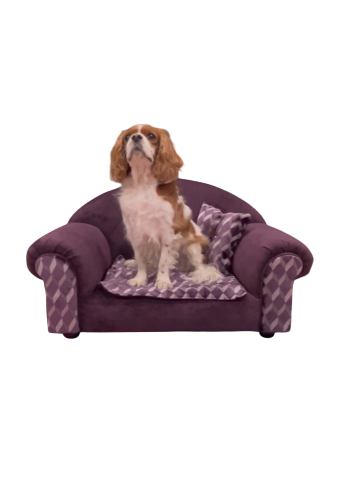 Paw-zy Boy Lounge Pet Sofa