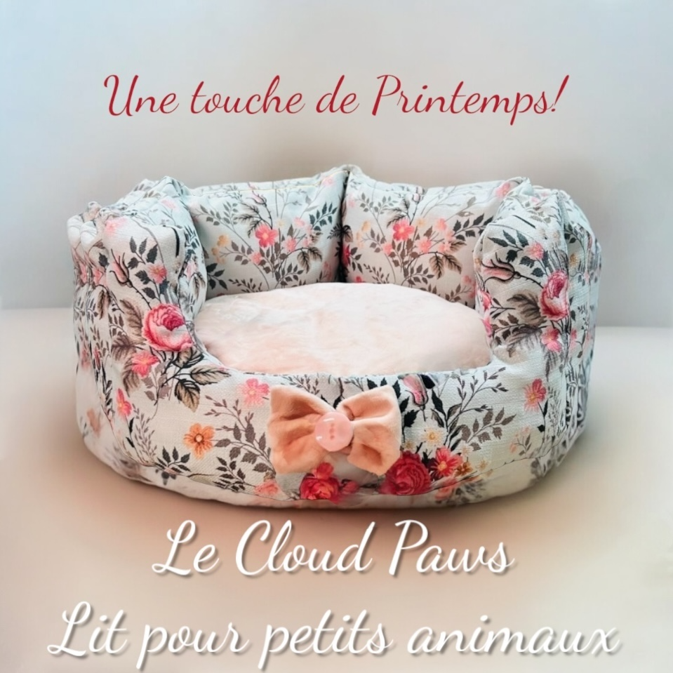 Coussin Patte Nuage